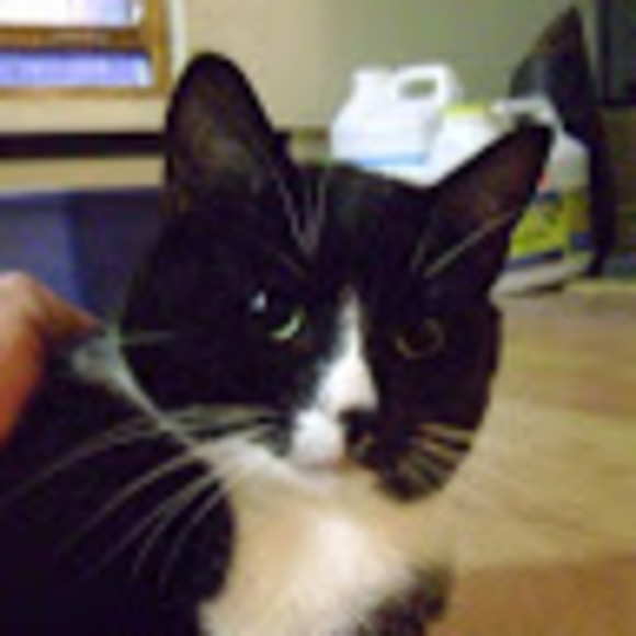 Meet your Posher, Keith - Picture 1 of 1